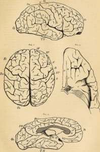 the psych show psychology